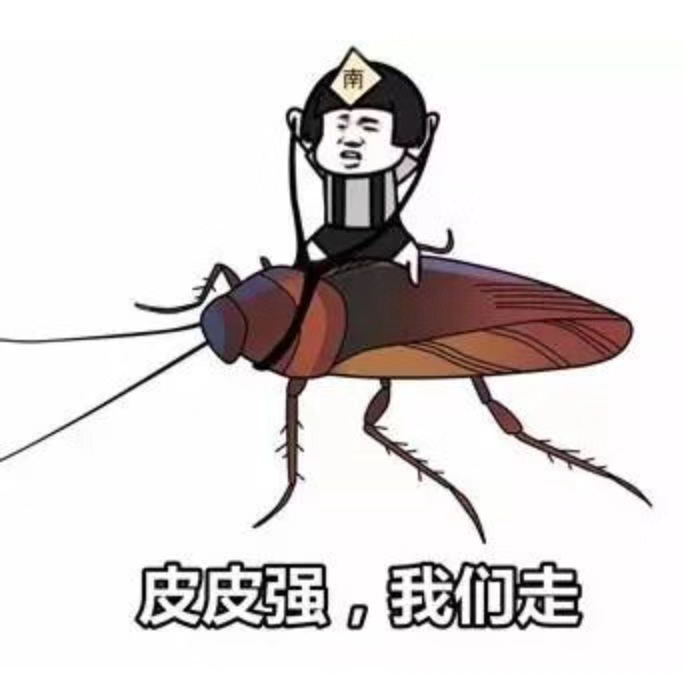 南方人民口中的巨大蟑螂是美洲大蠊北方人口中小蟑螂是德国小蠊我之 南方人民口中的巨大蟑螂是美洲大蠊北方人口中小蟑螂是德国小蠊我之