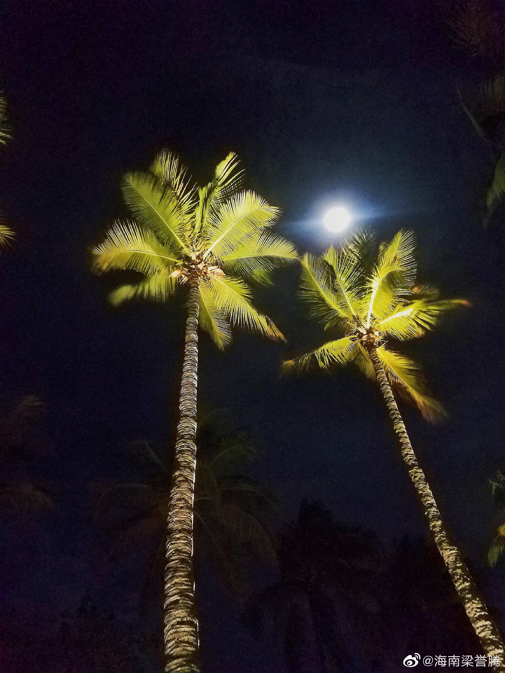 海南岛上的 夜月