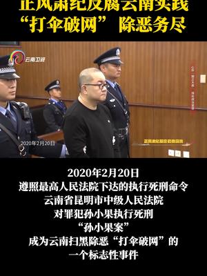 正风肃纪反腐云南实践孙小果案成为云南扫黑除恶打伞破网的一个标志性