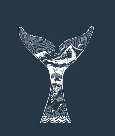 针管笔鲸鱼绘画