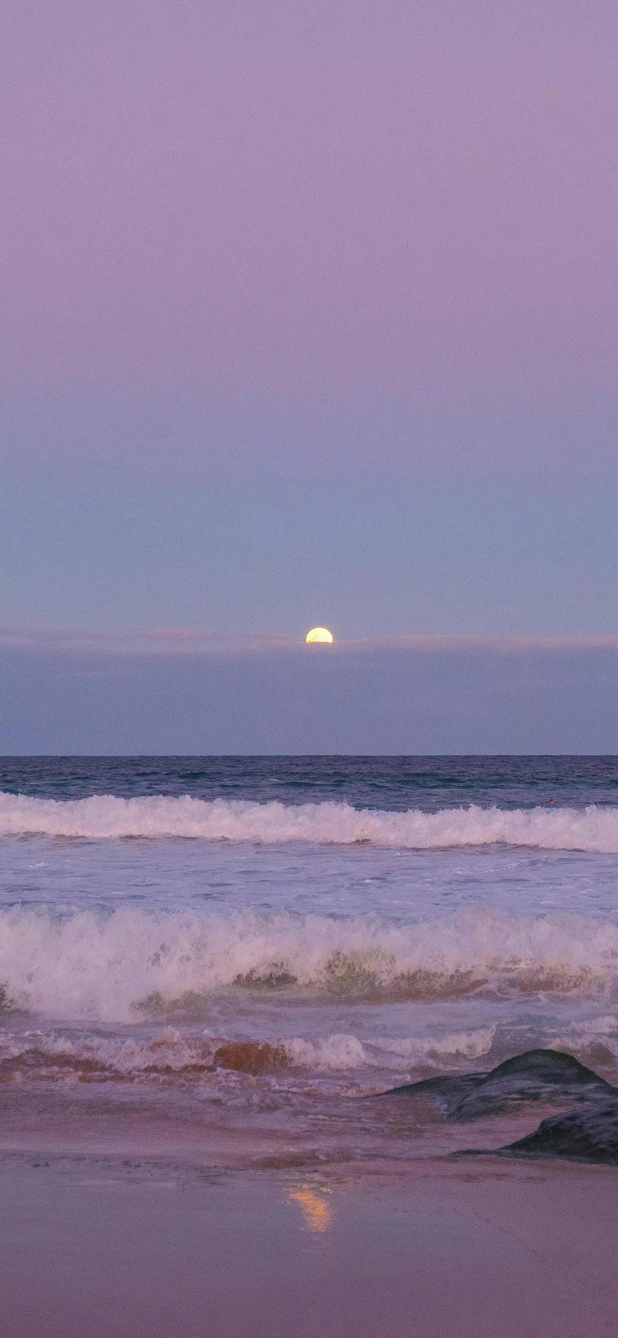 紫色系手机壁纸