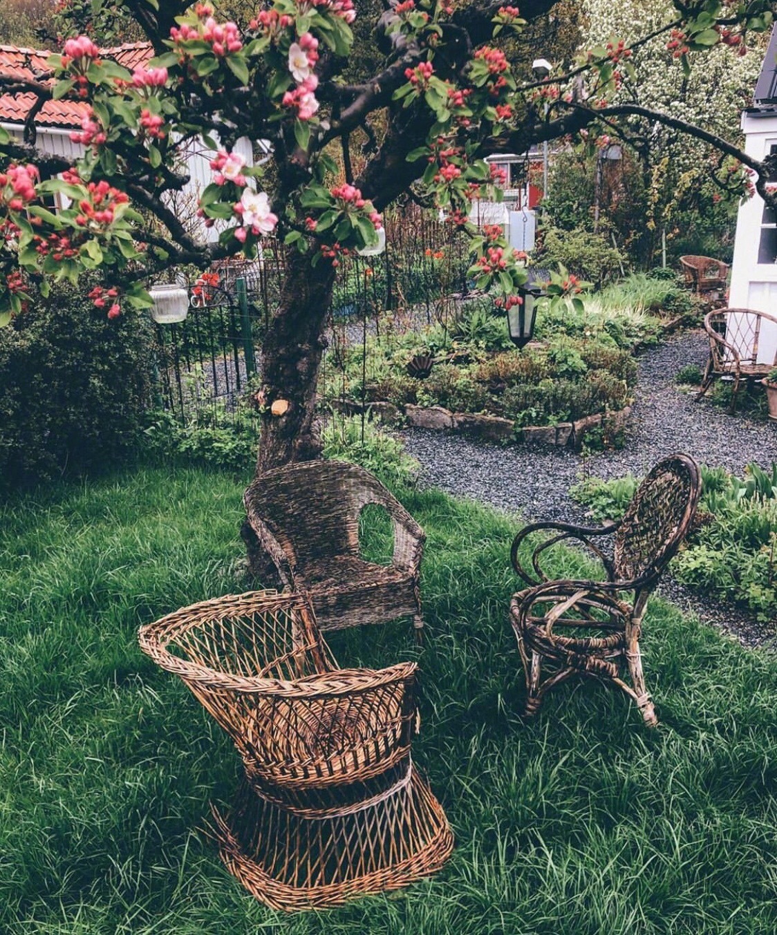 理想中的小花园ins:elinlannsjo