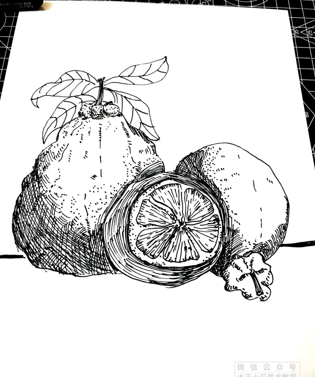 少儿美术汇|创意线描水果篇,来看看有没有你最爱的水果!__财经头条