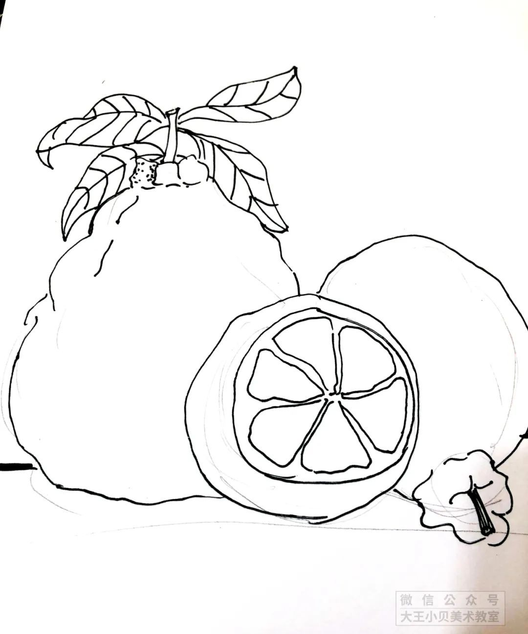 防水勾线笔白卡纸工具材料原创教程来自:大王小贝创意美术甜甜的丑橘5