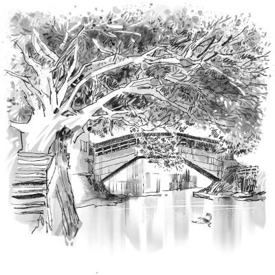 廊桥边的旧日时光|薛宅桥|廊桥|泰顺_新浪新闻