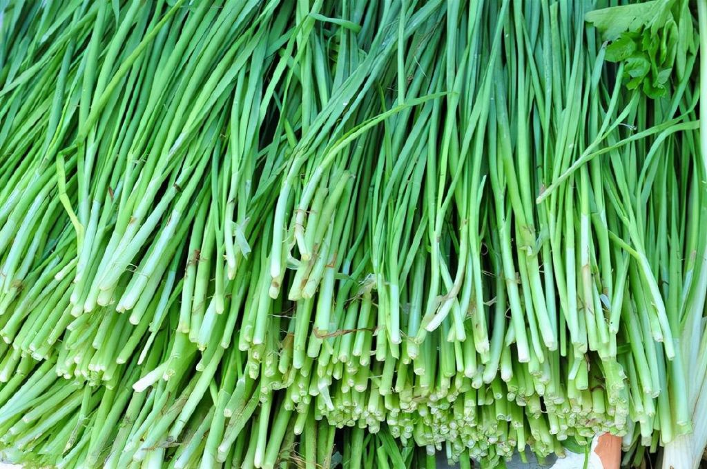 大年初四是立春,老传统要"咬春",3样食材别忘记吃,迎春纳福|蔬菜|春饼