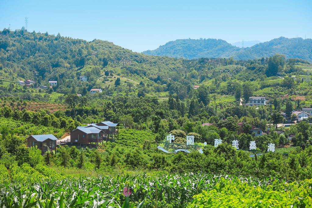 石泉举办"鎏金铜蚕丝路之源"文化旅游系列活动 助推乡村振兴