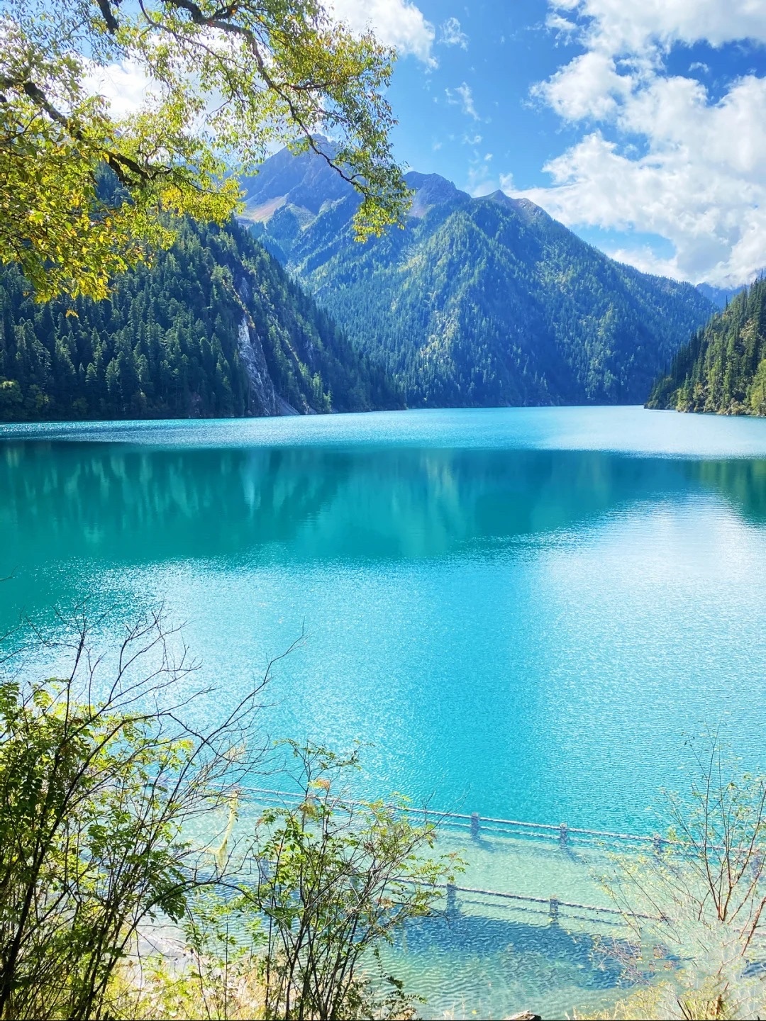 秋天的九寨沟真正的人间童话