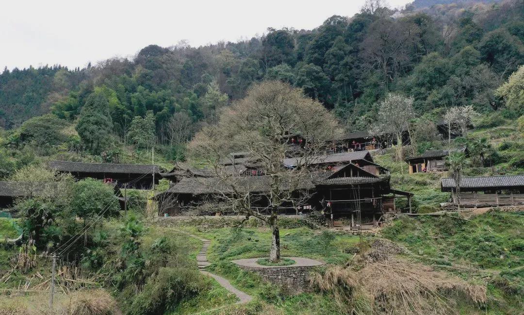 地理位置(怎么去)张家界市永定区四都坪乡牧笛溪村交通指引(怎么玩)从