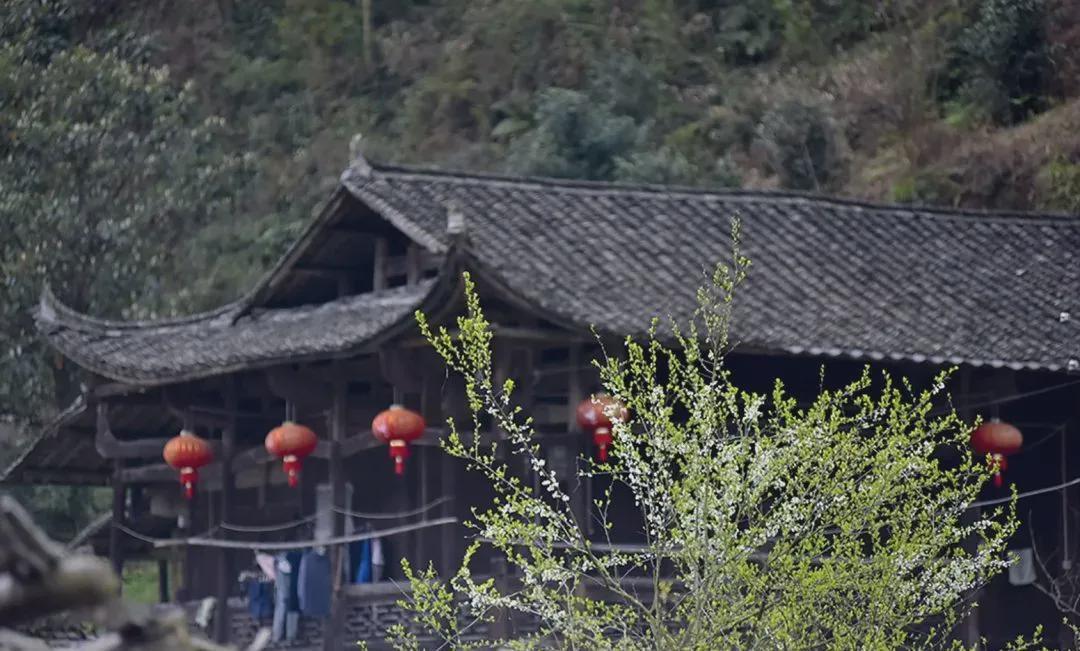 张家界牧笛溪村这里有你的向往