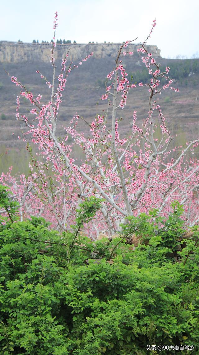 90夫妻自驾山东水蜜桃之乡，岱崮地貌真叫人称奇