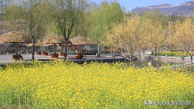 90夫妻自驾山东水蜜桃之乡，岱崮地貌真叫人称奇