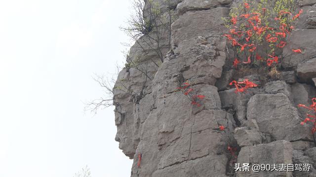 90夫妻自驾山东水蜜桃之乡，岱崮地貌真叫人称奇