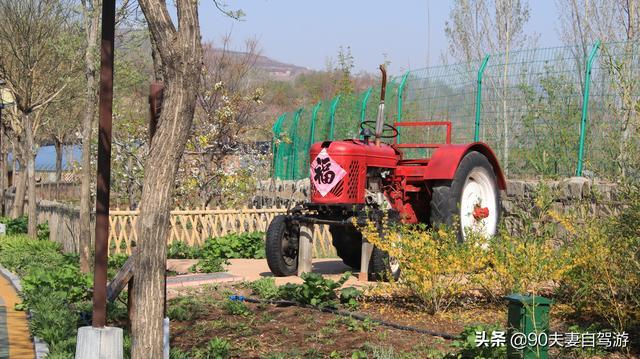 90夫妻自驾山东水蜜桃之乡，岱崮地貌真叫人称奇