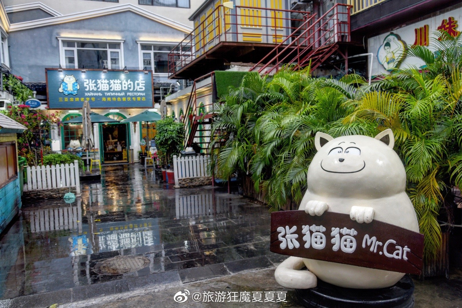 海南·三亚·张猫猫的店