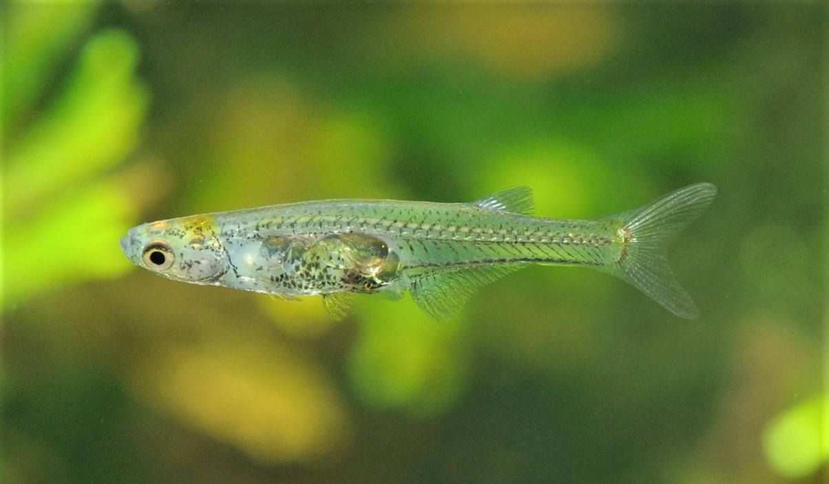 教师刘天池：嫁小两岁著名演员祖峰，十二年无子女，现在怎么样了休闲区蓝鸢梦想 - Www.slyday.coM