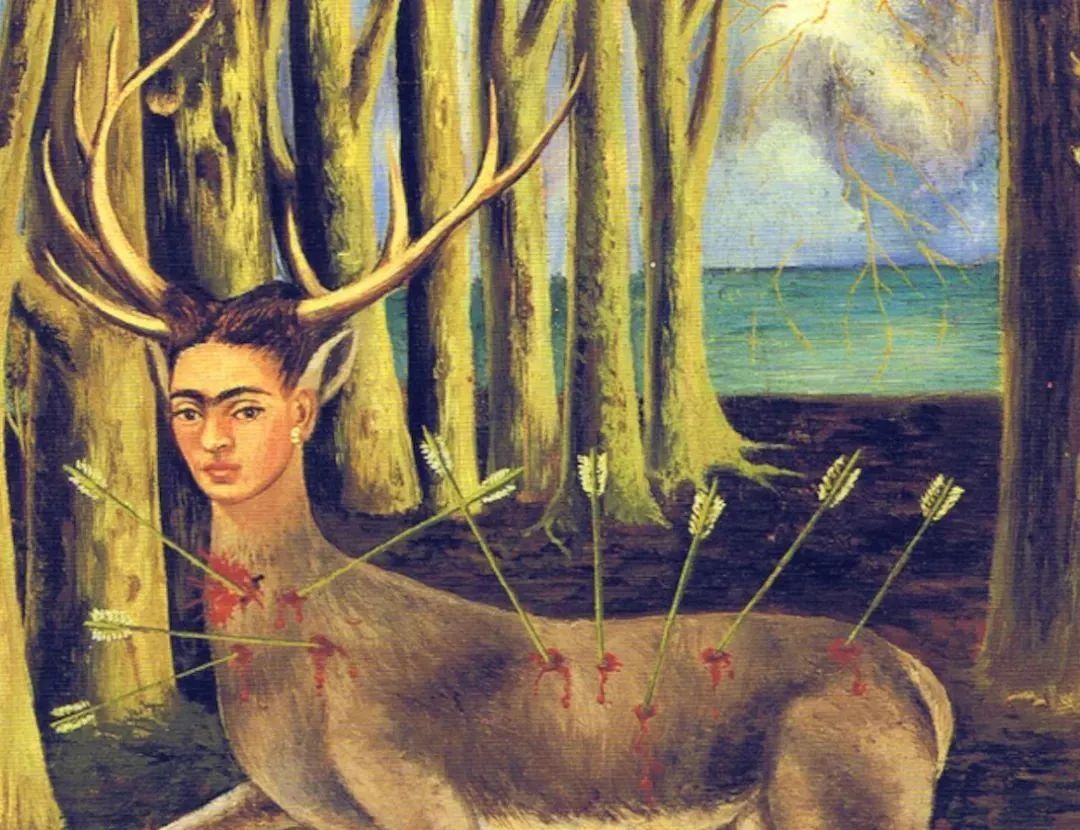 墨西哥传奇女画家弗里达卡罗