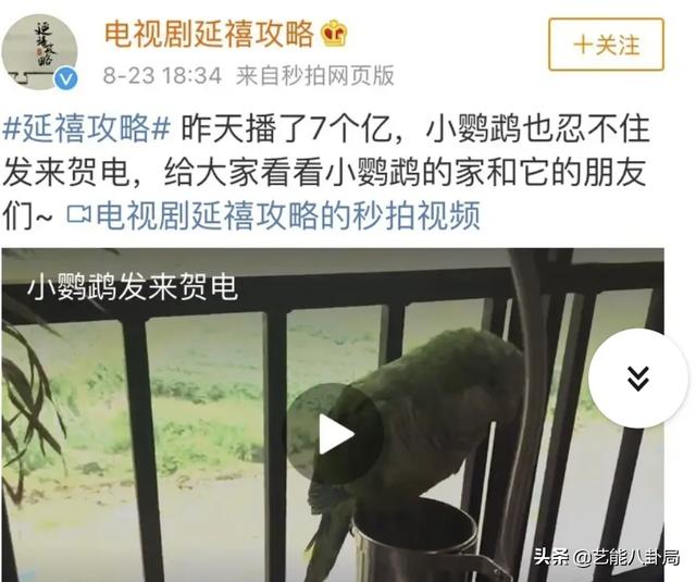 《当家主母》被指杀猫？猫猫演技过于逼真？网友要求剧组正面回应休闲区蓝鸢梦想 - Www.slyday.coM