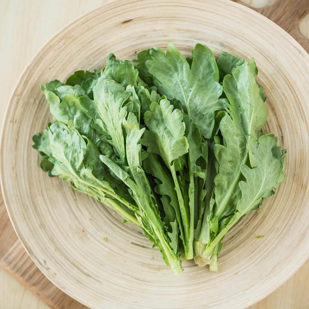 我们平时吃的茼蒿菜主要分两种,一种是南方吃的比较多的大叶茼蒿_高清