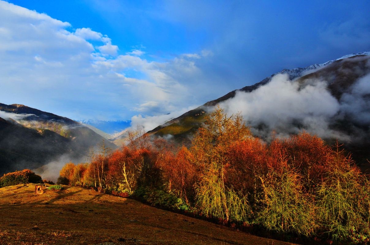 夹金山位于四川省阿坝藏族羌族自治州小金县南部
