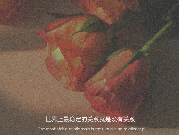 张国荣说 恋爱一定要从收到一束花和正式的告白开始 张国荣说 恋爱一定要从收到一束花和正式的告白开始