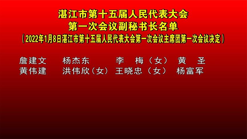 湛江市第十五届人民代表大会第一次会议副秘书长名单
