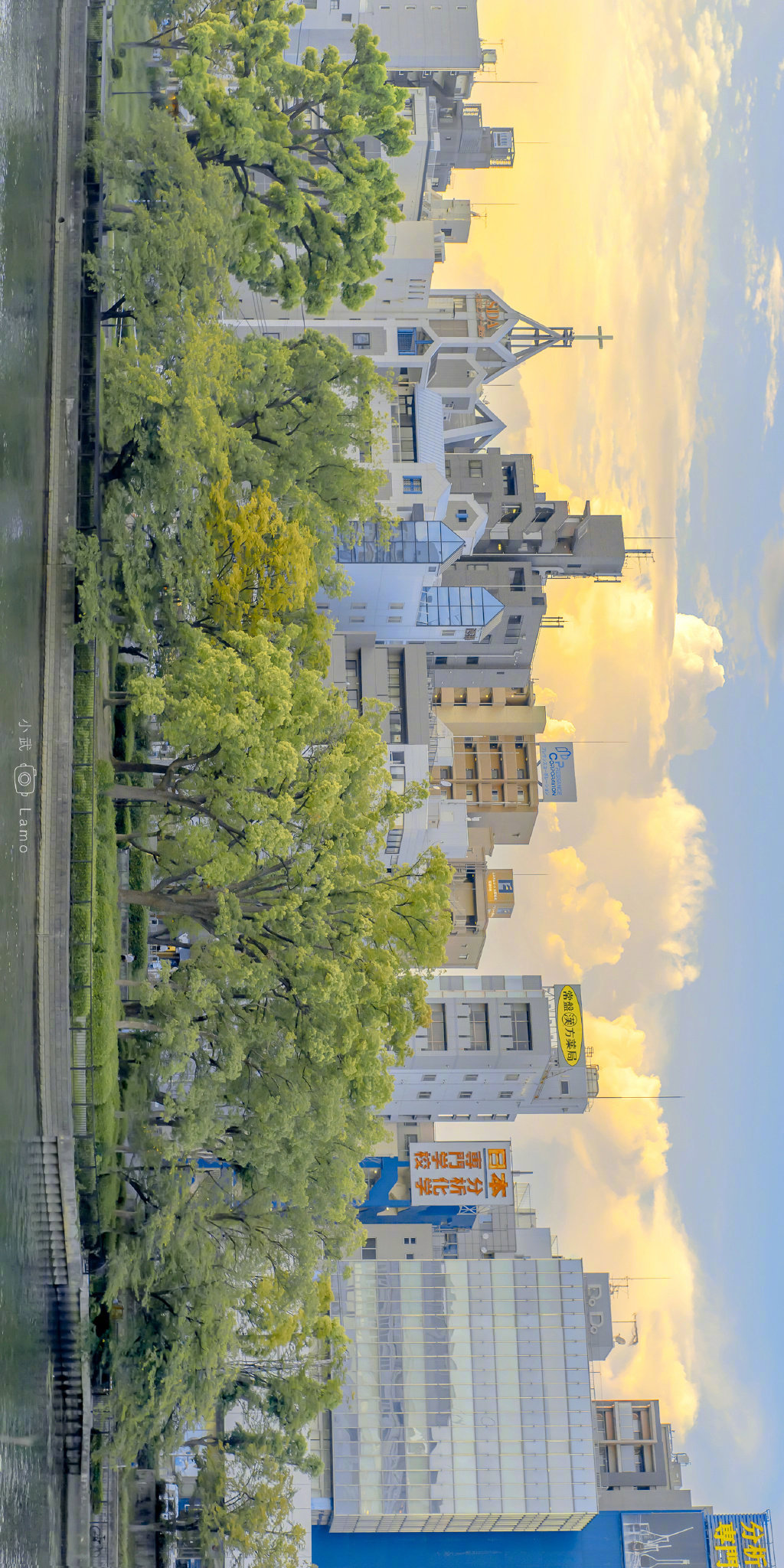 奈良| 会发光的绿色作者:@小武拉莫