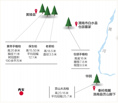 5株5000岁古树为何都在陕西休闲区蓝鸢梦想 - Www.slyday.coM 5株5000岁古树为何都在陕西休闲区蓝鸢梦想 - Www.slyday.coM