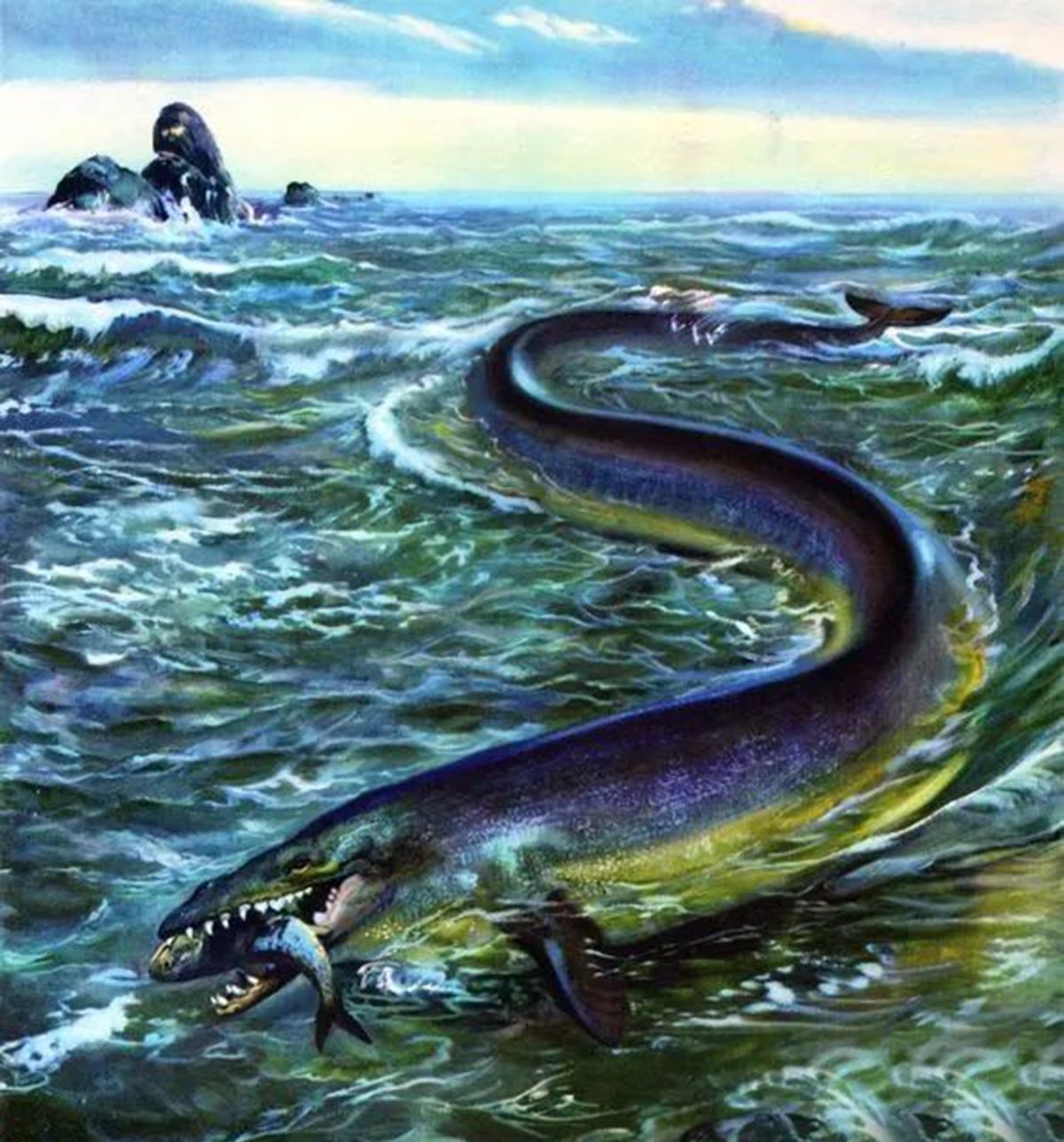 渐新世的王者巨齿鲨如果和白垩纪的沧龙狭路相逢谁能更胜一筹