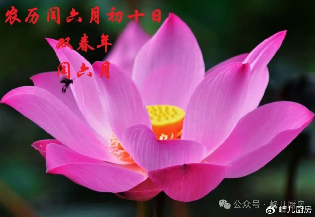 今天农历闰六月初十,记住“吃二样,忌二事”习俗,安康顺遂过闰月|安康|闰月|饺子
