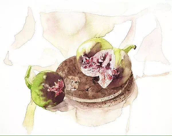 水彩手绘小清新之花果蔬菜 水彩手绘小清新之花果蔬菜