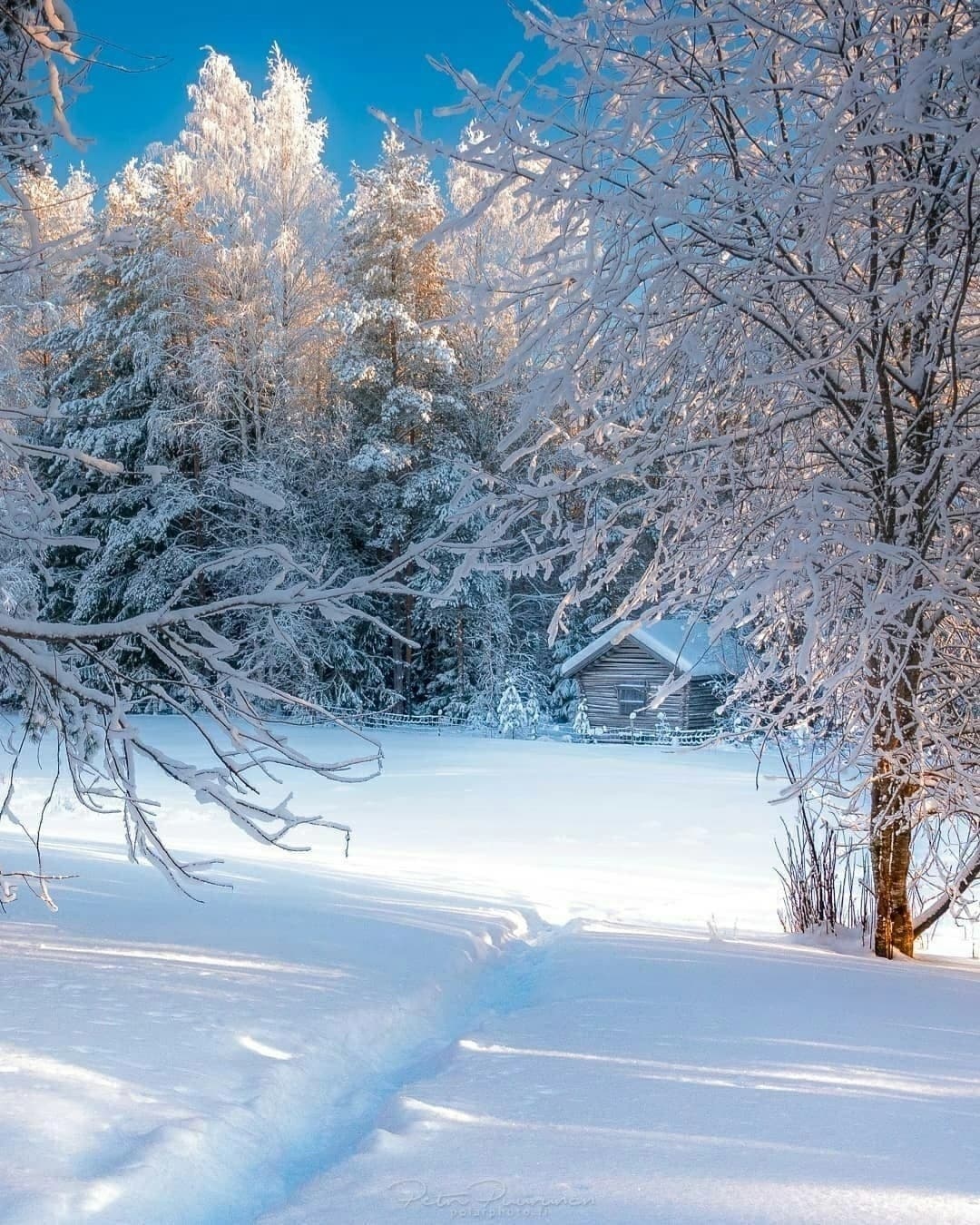 北欧仙境般雪景