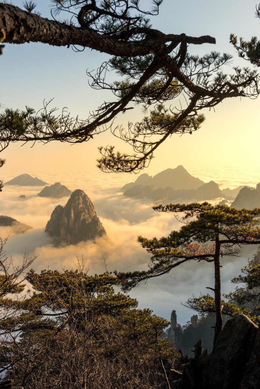 云雾缭绕的黄山美出天际