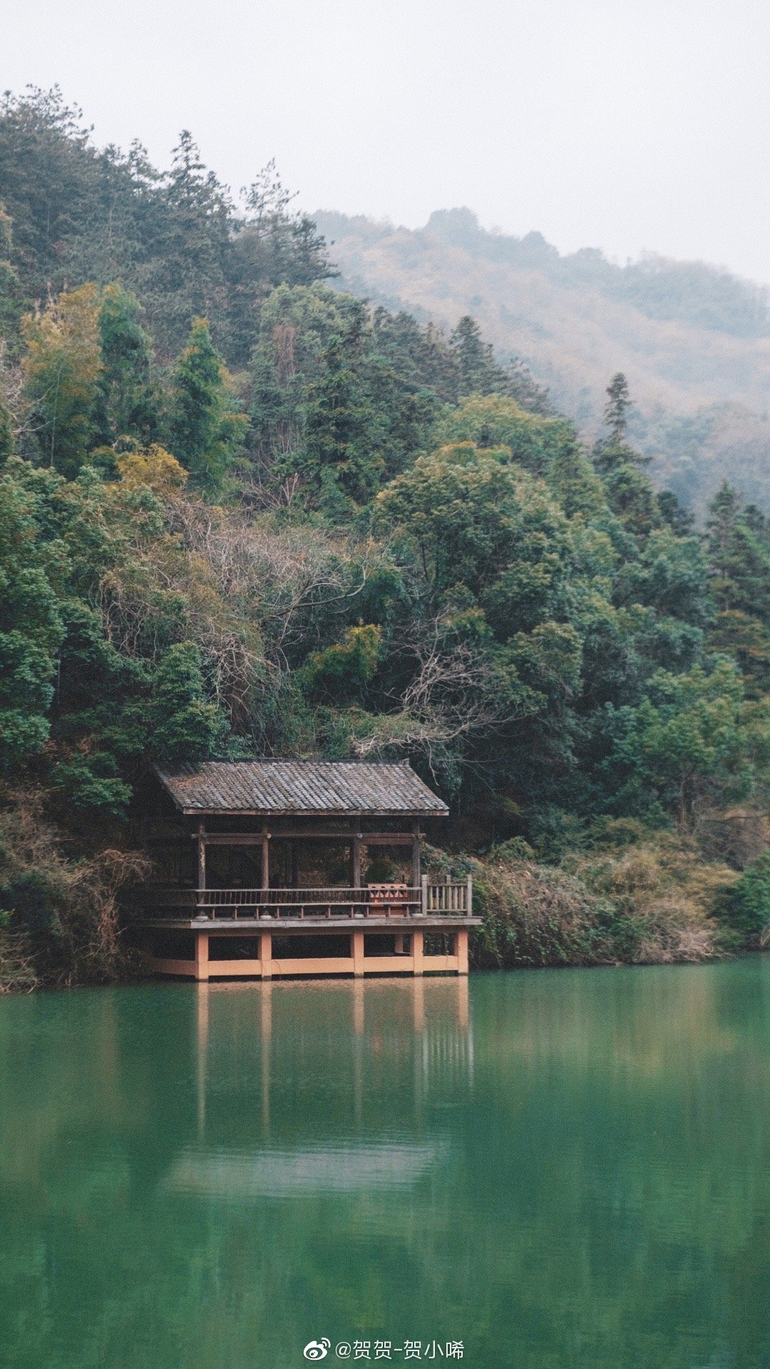 日子清净 四季的美好会如约而至 在南昌湾里小憩的几天 青砖灰瓦
