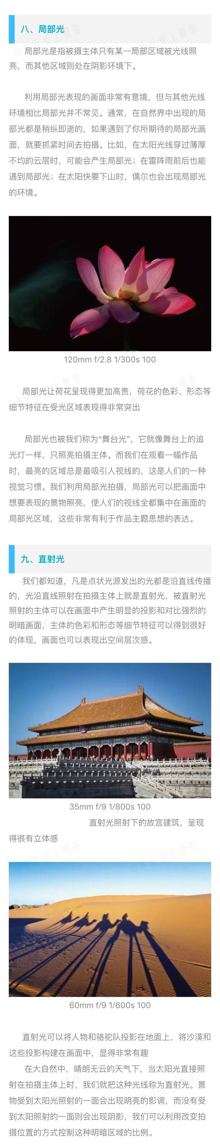 摄影总是说的顺光、逆光、侧光等光位在摄影中如何应用