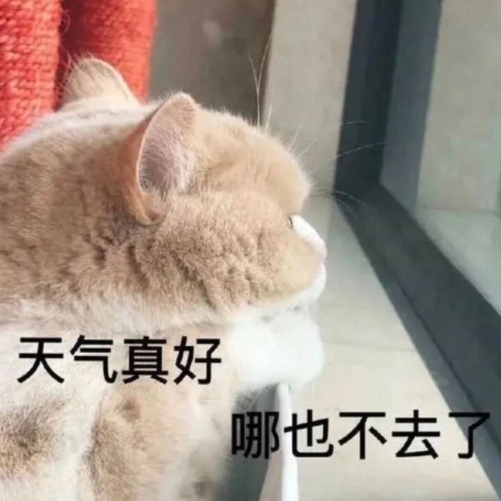 又到了存表情包的快乐时间