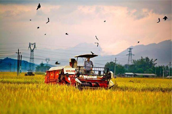 正特股份IPO：营收高度依赖外销 此前撤回申