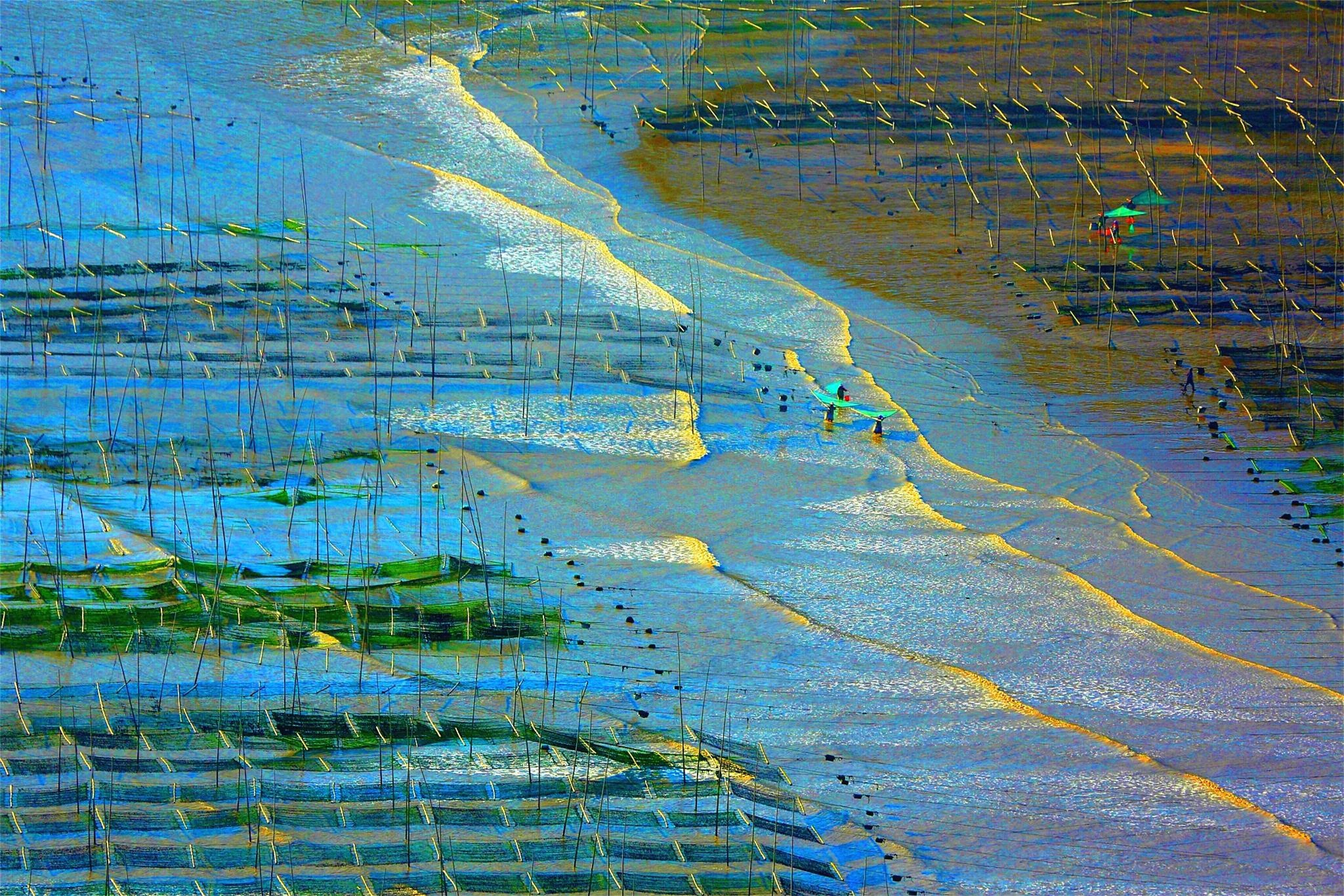 福建霞浦滩涂