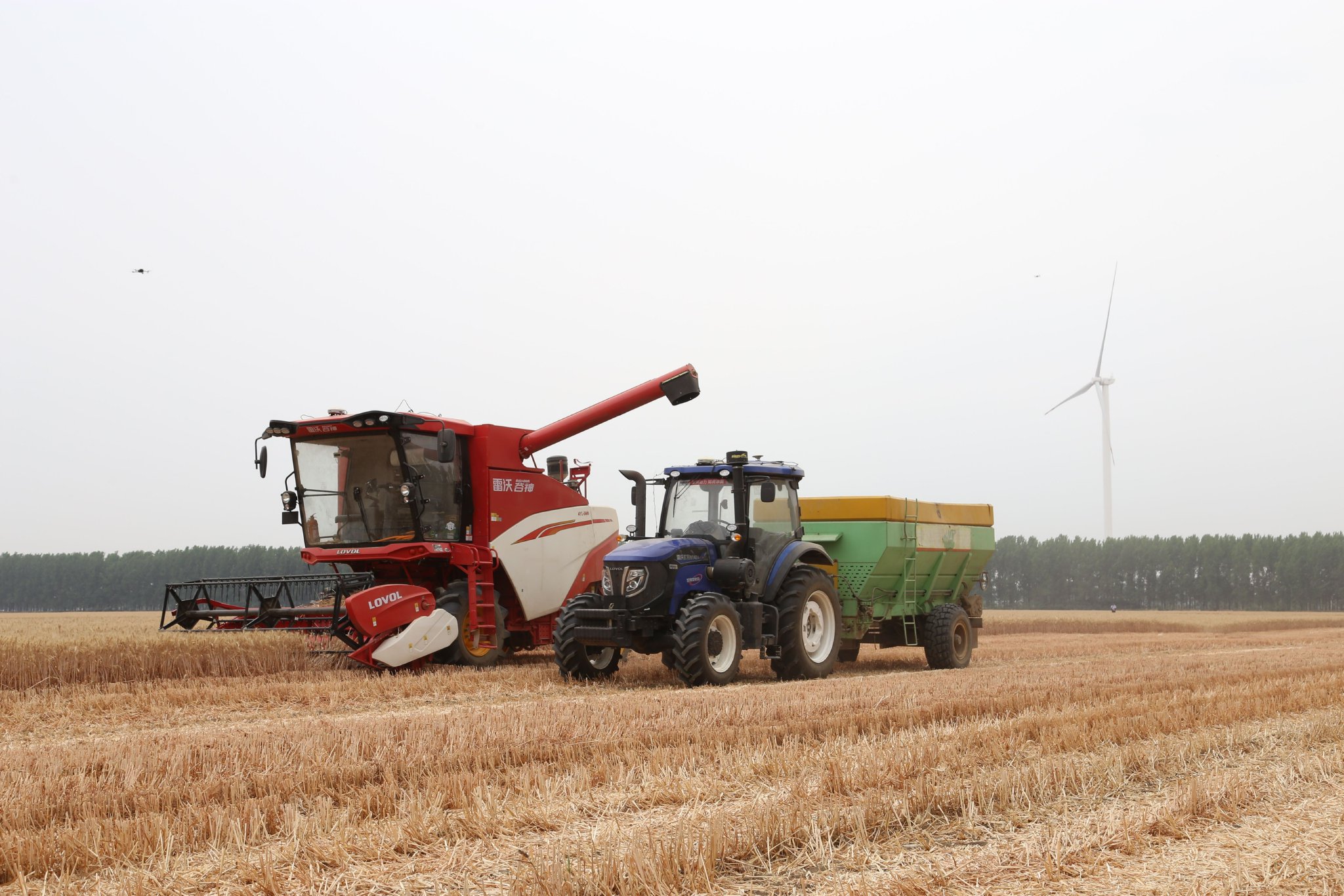 中国田间日丨智动三夏 潍柴雷沃智能农机"阅兵"中原粮仓