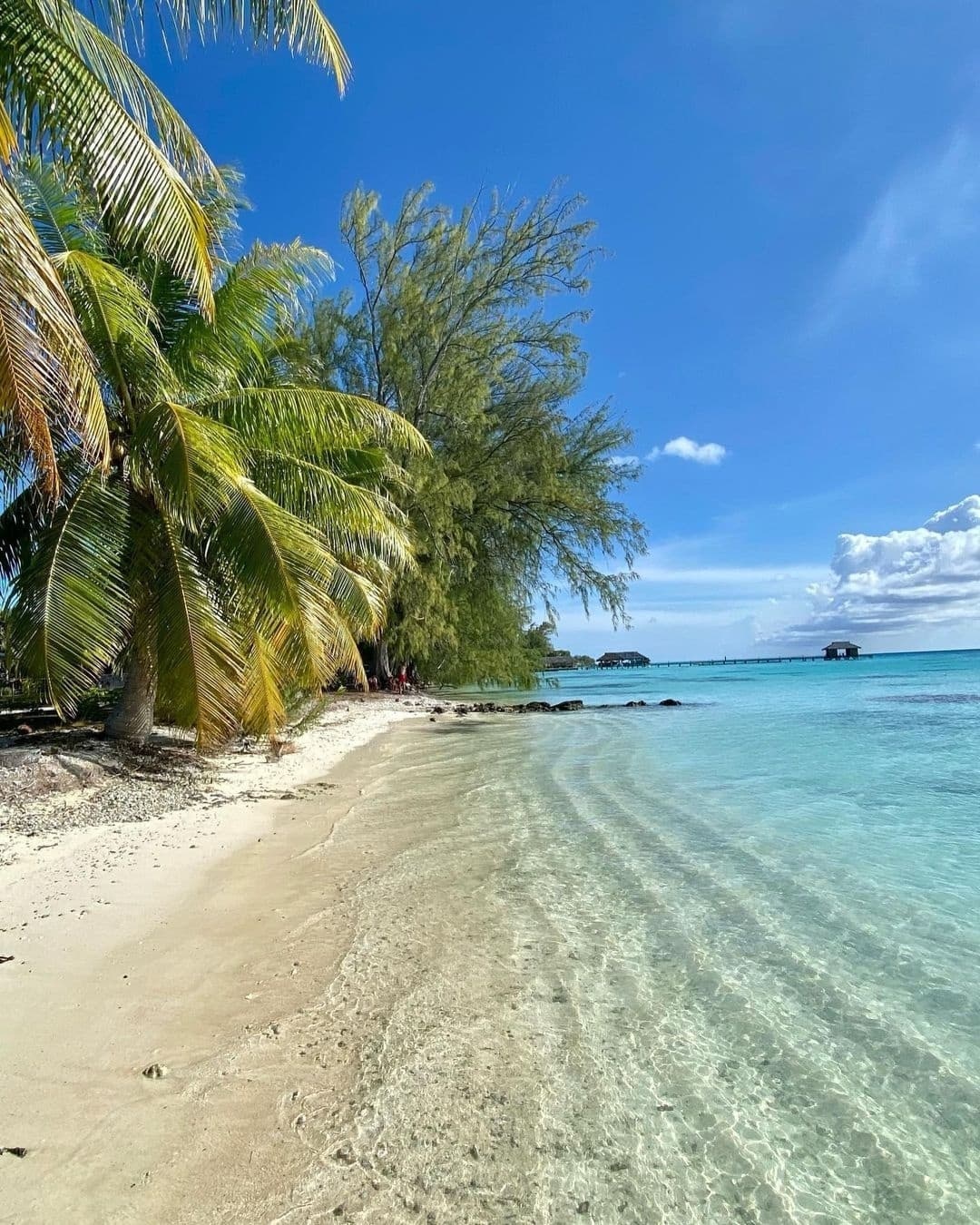 塔希提岛大溪地 ,海滩度假视角_高清图集_新浪网