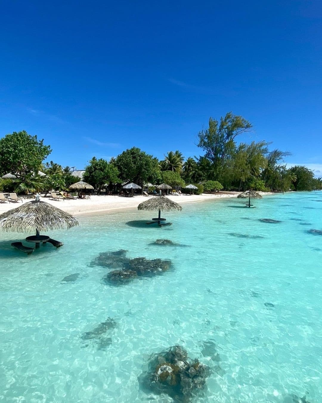 塔希提岛大溪地 ,海滩度假视角__财经头条