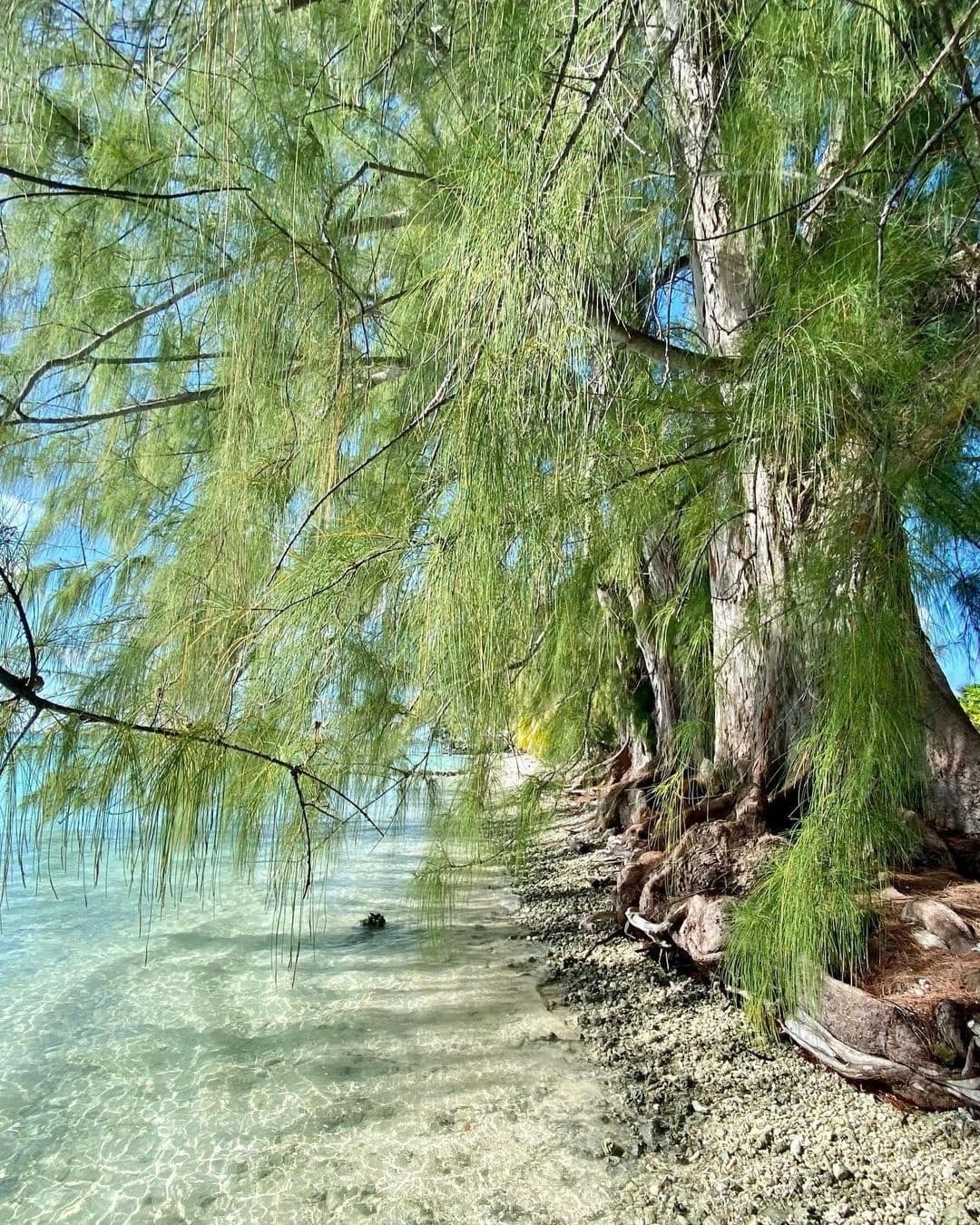 塔希提岛大溪地 ,海滩度假视角__财经头条