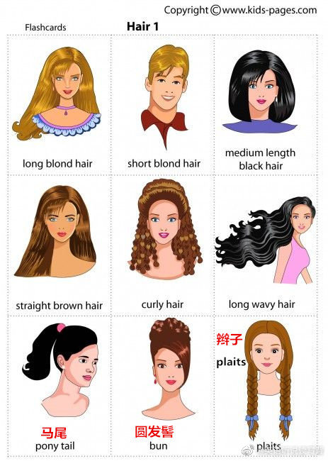 常见的发色和发型英语怎么说,你知道吗?_高清图集_新浪网