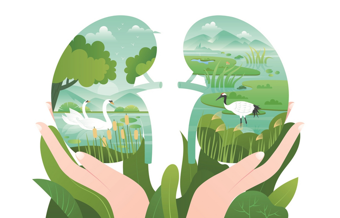 守护"地球之肾",擦亮生态底色|鸟类|生态|连云_新浪新闻