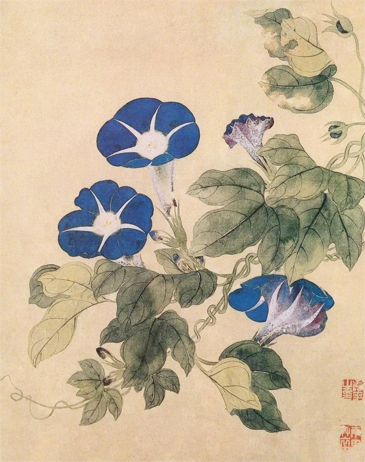 恽寿平 没骨花鸟画精品欣赏__财经头条