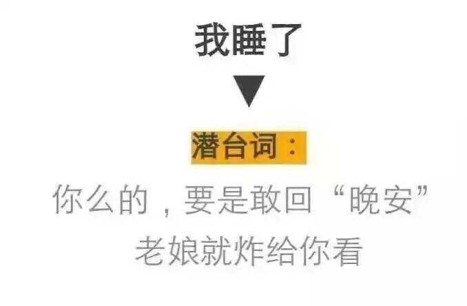 揭示流行语背后的文化内涵与趋势启示