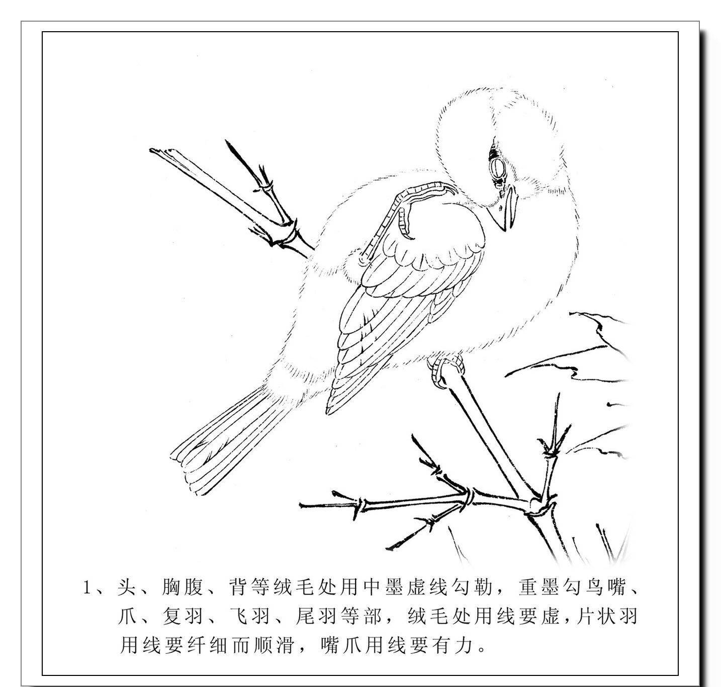 工笔《工笔麻雀》画法步骤图解