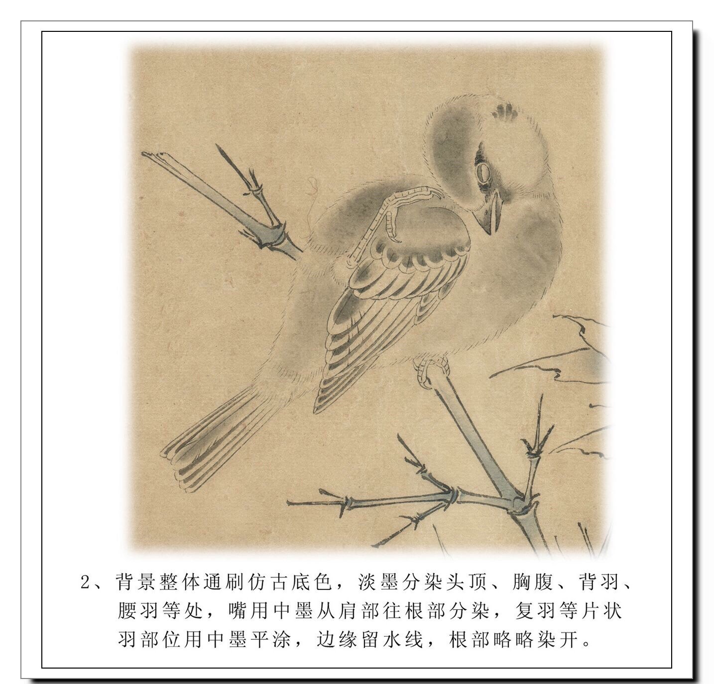 工笔《工笔麻雀》画法步骤图解