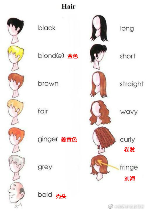 常见的发色和发型英语怎么说,你知道吗?_高清图集_新浪网