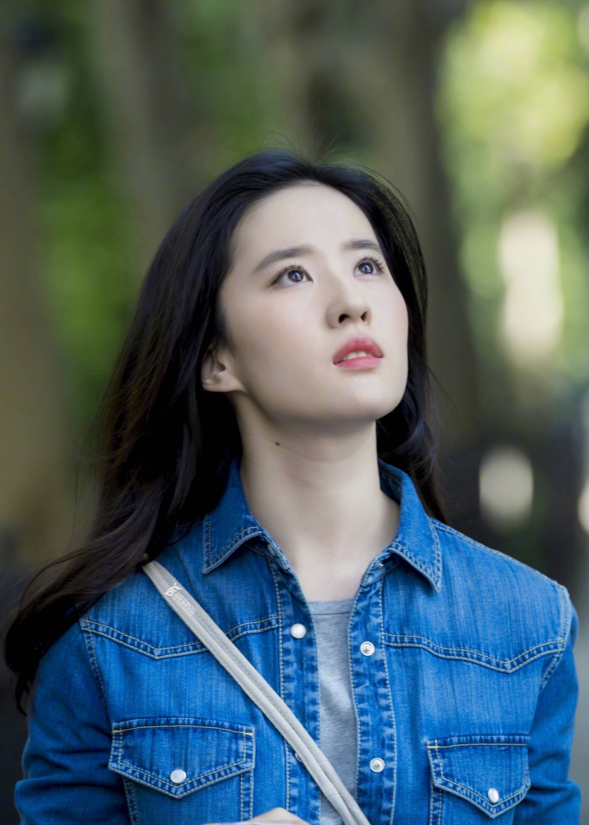 刘亦菲_高清图集_新浪网